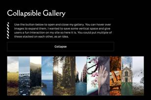 Collapsible :has gallery code snippet