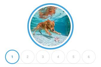 Circular dog gallery code snippet