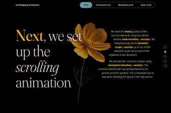 CSS scroll-driven scroll-snapping animations code snippet