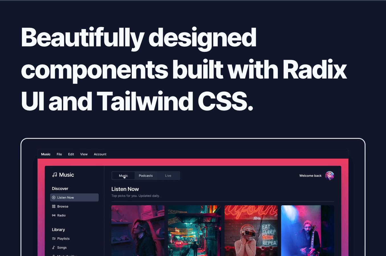 shadcn/ui component library